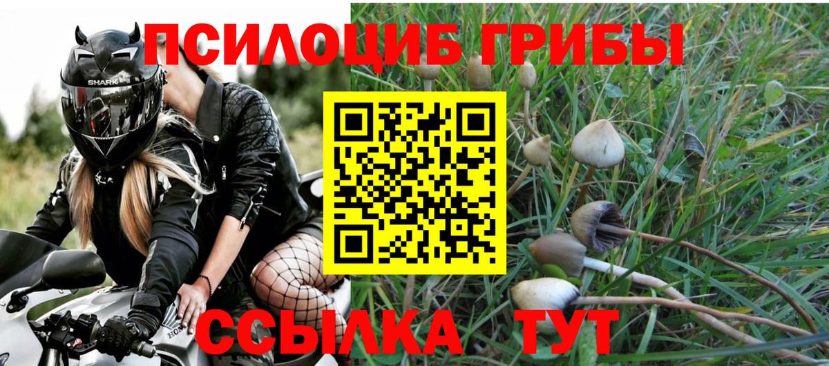 Псилоцибиновые грибы Magic Shrooms Белорецк